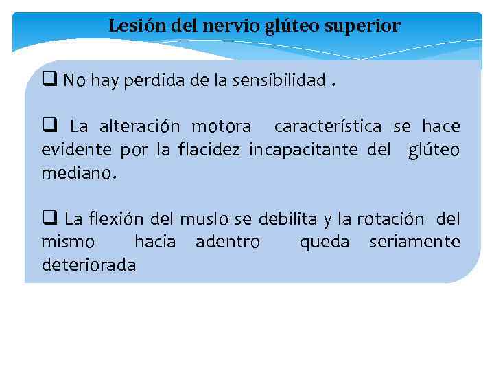 Lesión del nervio glúteo superior q No hay perdida de la sensibilidad. q La