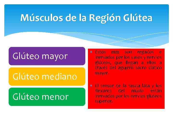 Músculos de la Región Glútea Glúteo mayor Glúteo mediano Glúteo menor Estos mm son