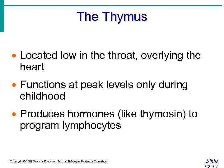 The Thymus · Located low in the throat, overlying the heart · Functions at