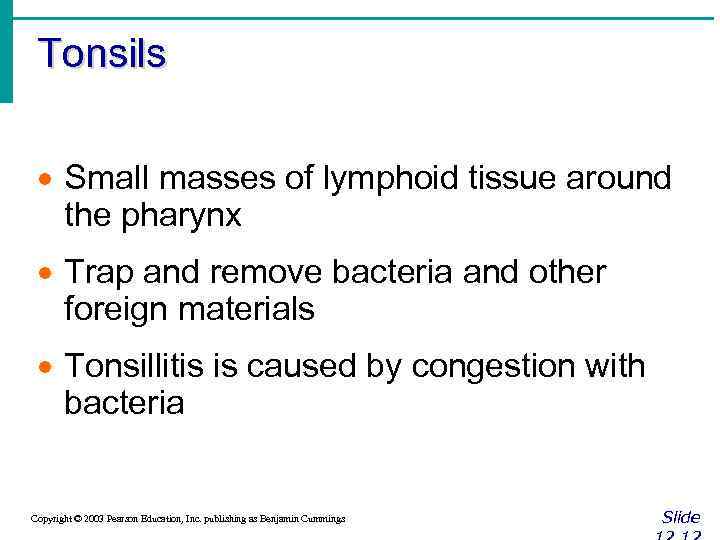 Tonsils · Small masses of lymphoid tissue around the pharynx · Trap and remove