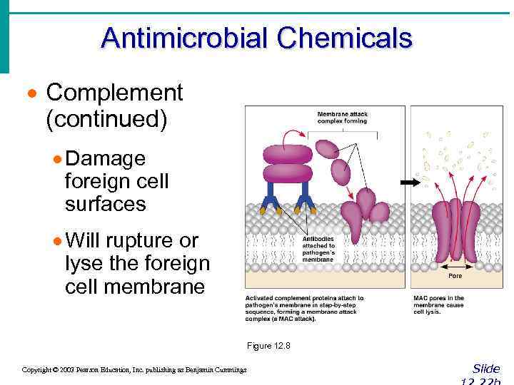 Antimicrobial Chemicals · Complement (continued) · Damage foreign cell surfaces · Will rupture or