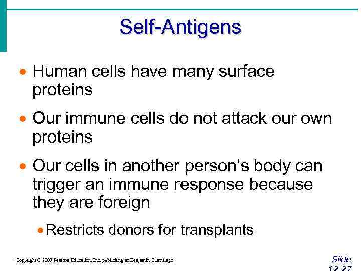 Self-Antigens · Human cells have many surface proteins · Our immune cells do not