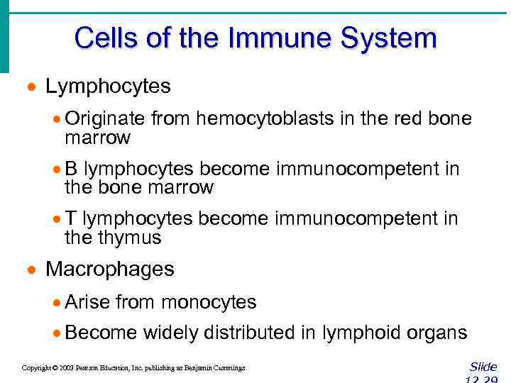 Cells of the Immune System · Lymphocytes · Originate from hemocytoblasts in the red