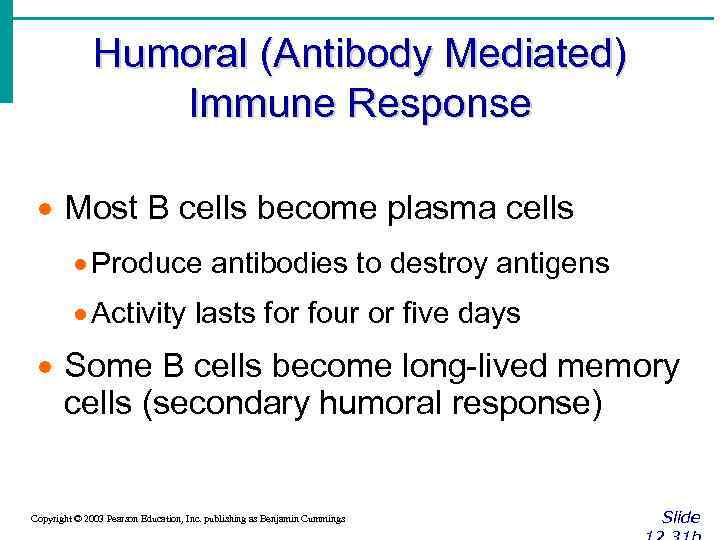 Humoral (Antibody Mediated) Immune Response · Most B cells become plasma cells · Produce
