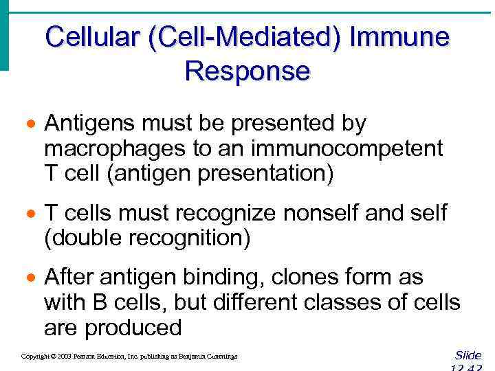 Cellular (Cell-Mediated) Immune Response · Antigens must be presented by macrophages to an immunocompetent