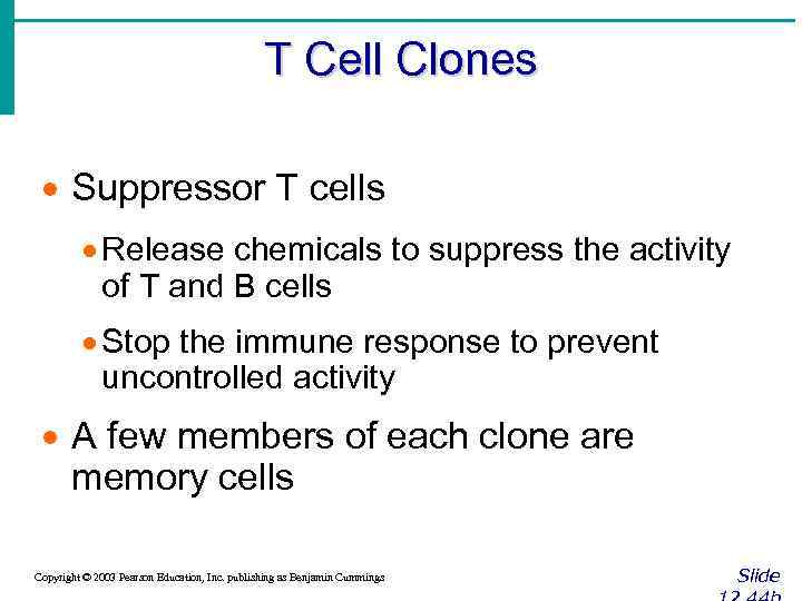 T Cell Clones · Suppressor T cells · Release chemicals to suppress the activity