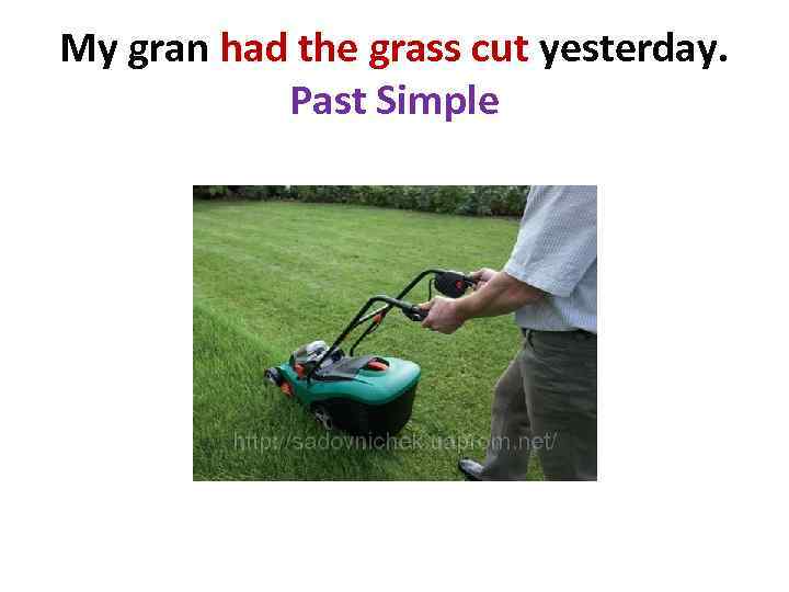 My gran had the grass cut yesterday. Past Simple 