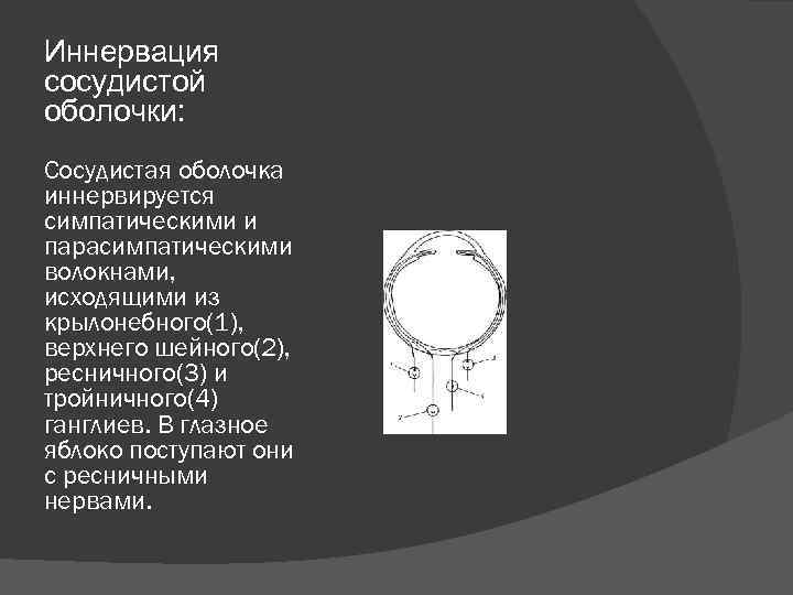 Иннервация сосудистой оболочки: Сосудистая оболочка иннервируется симпатическими и парасимпатическими волокнами, исходящими из крылонебного(1), верхнего