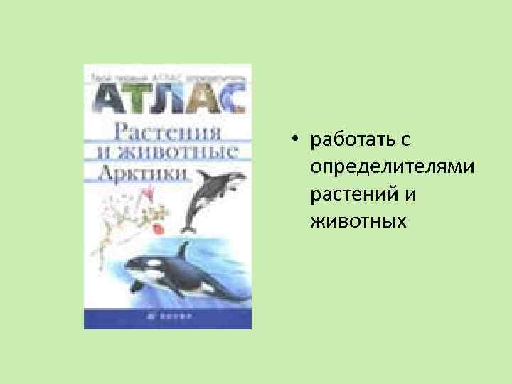  • работать с определителями растений и животных 