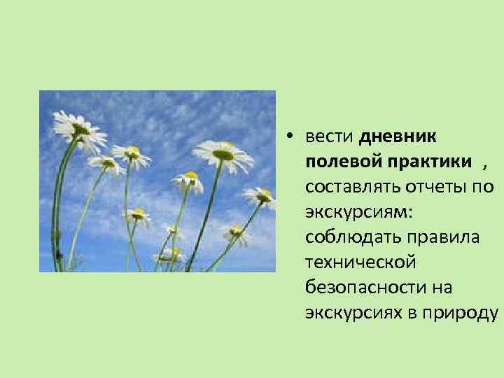  • вести дневник полевой практики , составлять отчеты по экскурсиям: соблюдать правила технической