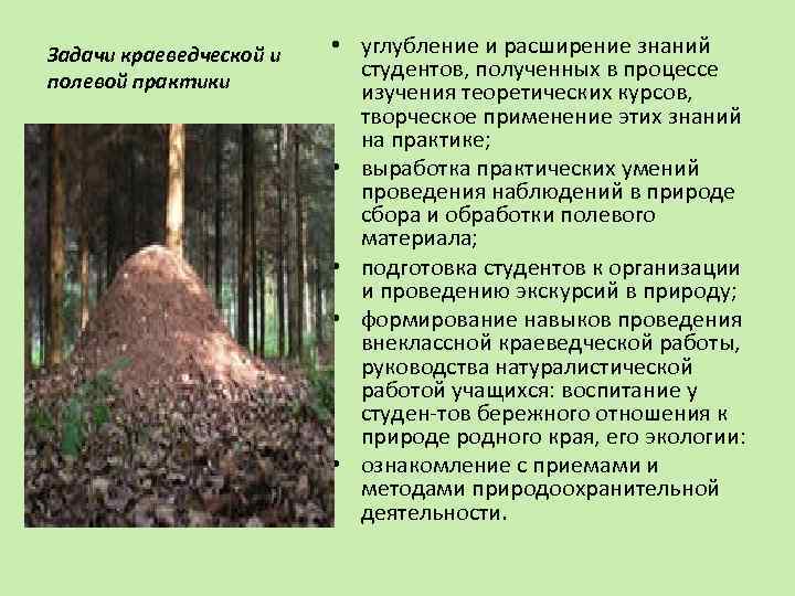 Задачи краеведческой и полевой практики • углубление и расширение знаний студентов, полученных в процессе