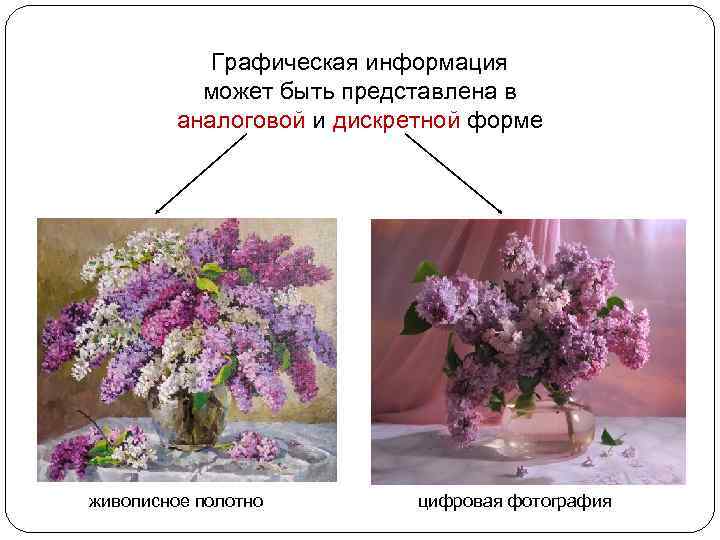 Графическая информация может быть представлена в аналоговой и дискретной форме живописное полотно цифровая фотография