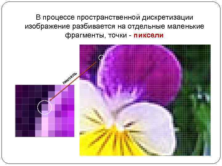 В процессе пространственной дискретизации изображение разбивается на отдельные маленькие фрагменты, точки - пиксели ь