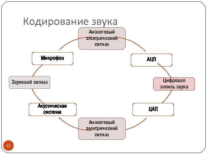 Кодирование звука Аналоговый электрический сигнал Микрофон АЦП Цифровая запись звука Звуковой сигнал Акустическая система