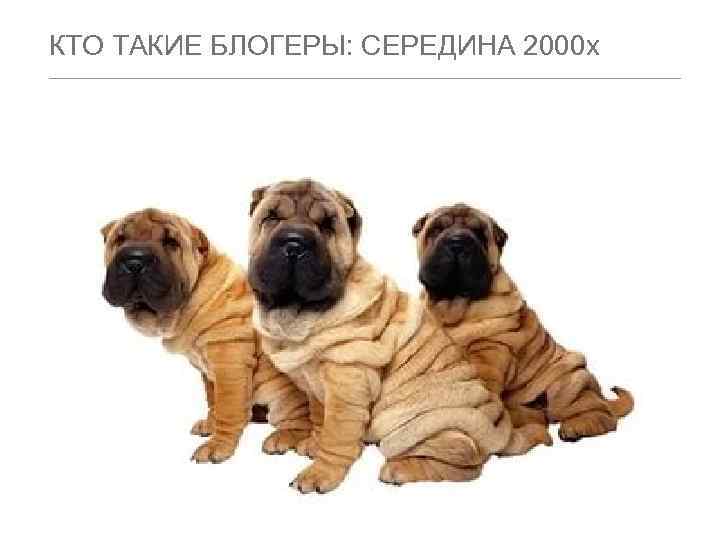 КТО ТАКИЕ БЛОГЕРЫ: СЕРЕДИНА 2000 х 