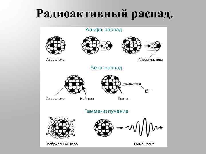 Закон радиоактивного распада физика 11 класс презентация