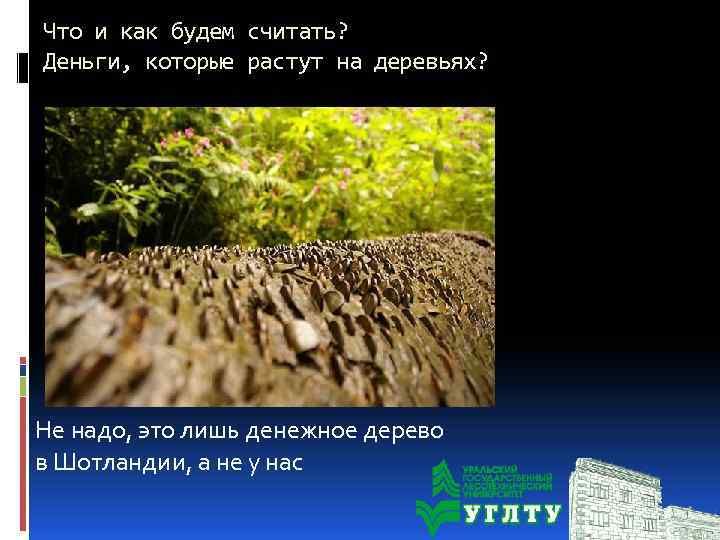 Что и как будем считать? Деньги, которые растут на деревьях? Не надо, это лишь