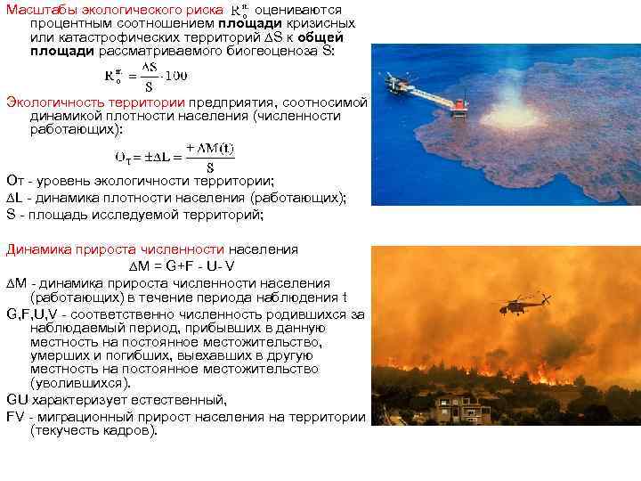 Масштабы экологического риска оцениваются процентным соотношением площади кризисных или катастрофических территорий S к общей