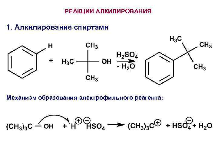 РЕАКЦИИ АЛКИЛИРОВАНИЯ 1. Алкилирование спиртами Механизм образования электрофильного реагента: 