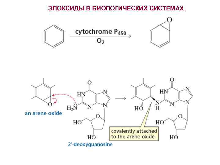 ЭПОКСИДЫ В БИОЛОГИЧЕСКИХ СИСТЕМАХ 