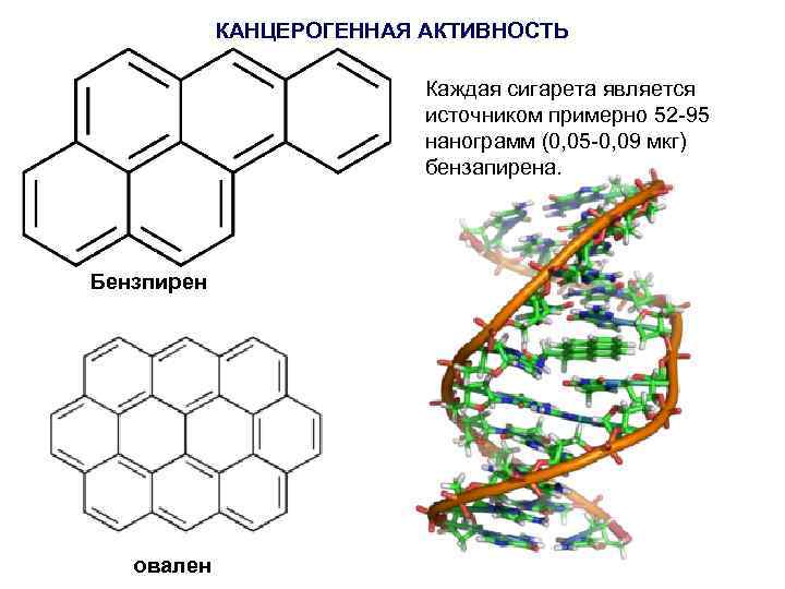 КАНЦЕРОГЕННАЯ АКТИВНОСТЬ Каждая сигарета является источником примерно 52 -95 нанограмм (0, 05 -0, 09