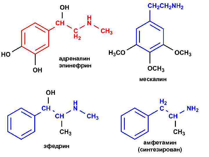 адреналин эпинефрин мескалин эфедрин амфетамин (синтезирован) 