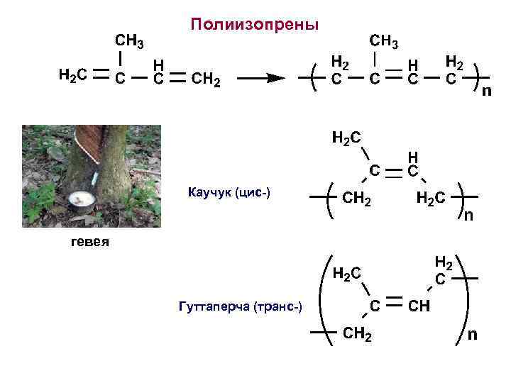 Применение алкадиенов схема