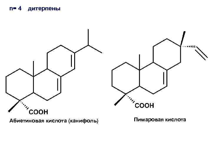 n= 4 дитерпены Абиетиновая кислота (канифоль) Пимаровая кислота 