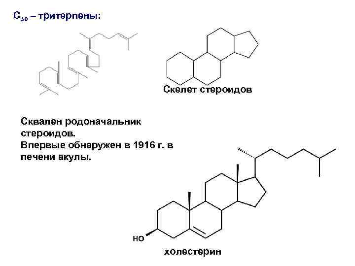 С 30 – тритерпены: Скелет стероидов Сквален родоначальник стероидов. Впервые обнаружен в 1916 г.
