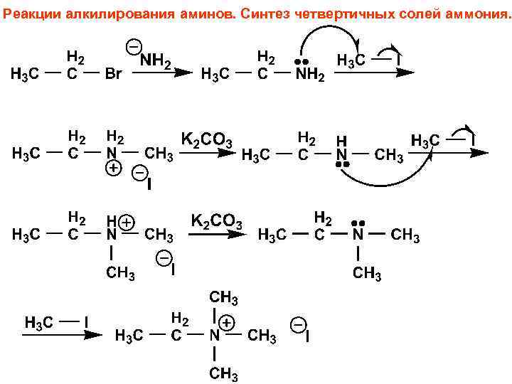 Реакции алкилирования аминов. Синтез четвертичных солей аммония. 