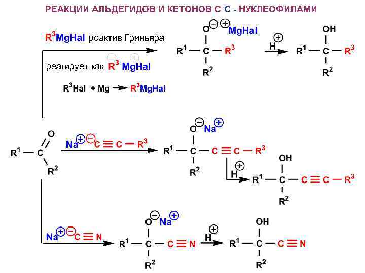 РЕАКЦИИ АЛЬДЕГИДОВ И КЕТОНОВ С С - НУКЛЕОФИЛАМИ реактив Гриньяра реагирует как 