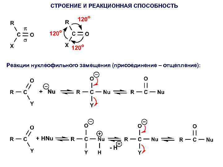 На какой схеме правильно показано распределение электронной плотности в карбоксильной группе