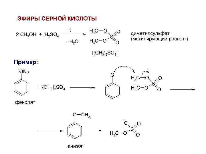ЭФИРЫ СЕРНОЙ КИСЛОТЫ Пример: 