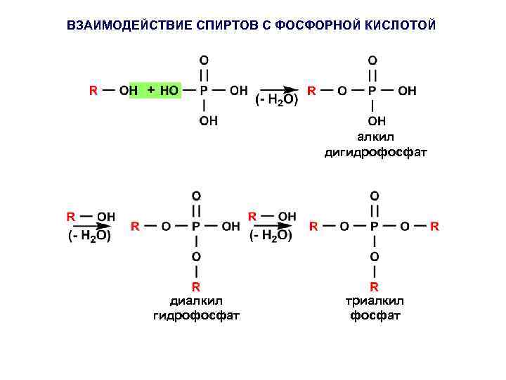 Alkyl alcohol. Этанол плюс фосфорная кислота. Взаимодействие спиртов с фосфорной кислотой. Взаимодействие спиртов с кислотами. Этанол и фосфорная кислота реакция.