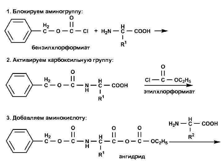 1. Блокируем аминогруппу: бензилхлорформиат 2. Активируем карбоксильную группу: этилхлорформиат 3. Добавляем аминокислоту: ангидрид 