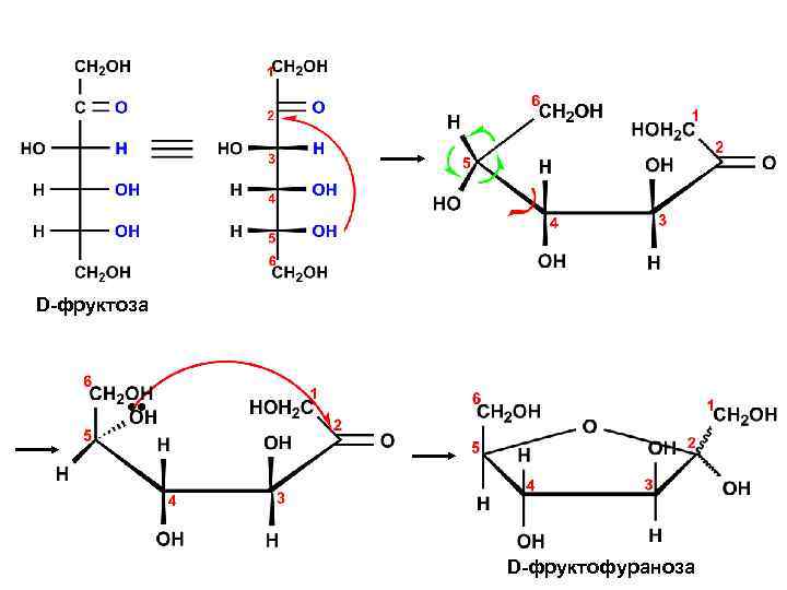 Фруктоза взаимодействует с. Фосфорилирование бета фруктофуранозы. Формула бета-d-фруктофуранозы. Альфа-д-фруктофураноза + c2h5i. Строение производных моносахаридов.