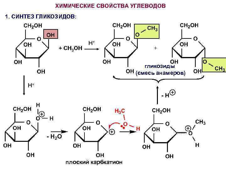 Химические свойства углеводов. Синтез гликозидов. Синтез гликозидов по Фишеру. Синтез n-гликозидов. Реакции моносахаридов Синтез гликозидов.