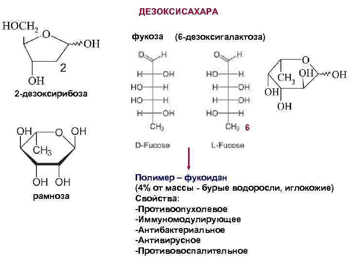 4 дезоксирибоза