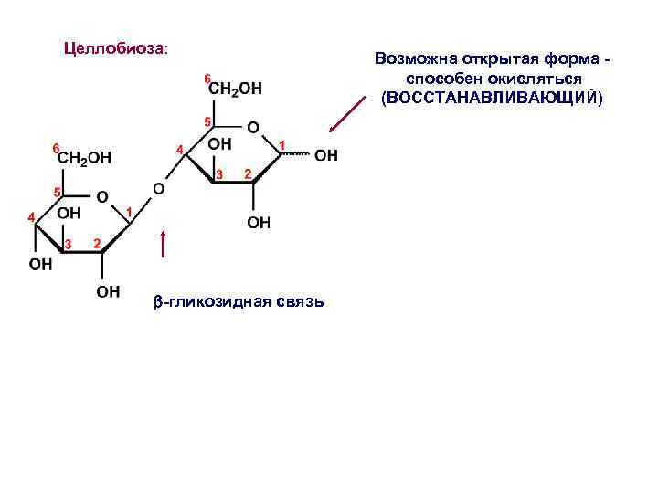 Схема образования целлобиозы