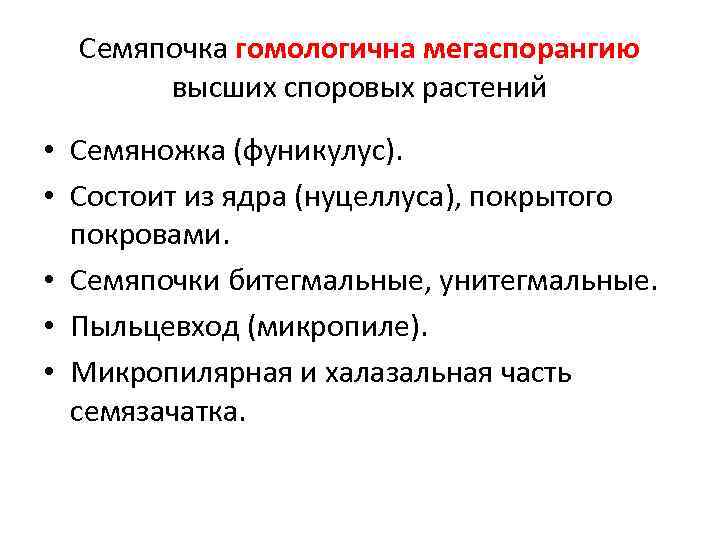 Семяпочка гомологична мегаспорангию высших споровых растений • Семяножка (фуникулус). • Состоит из ядра (нуцеллуса),