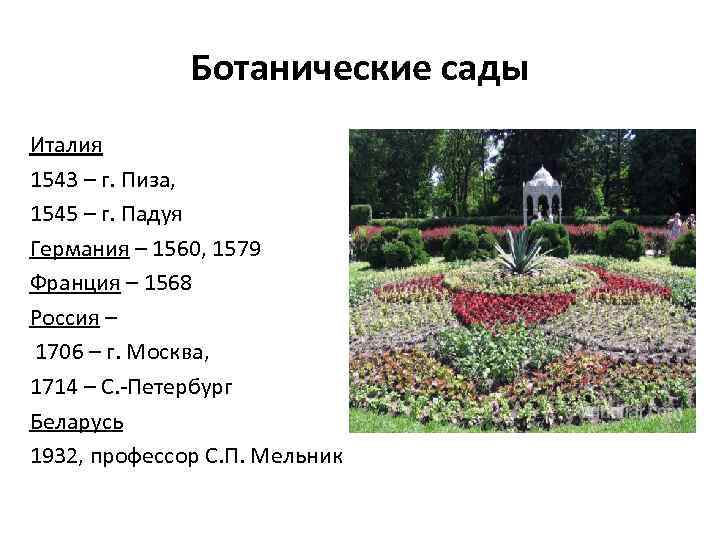 Ботанические сады Италия 1543 – г. Пиза, 1545 – г. Падуя Германия – 1560,