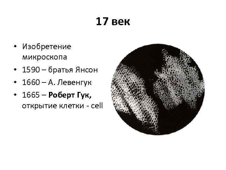 17 век • Изобретение микроскопа • 1590 – братья Янсон • 1660 – А.