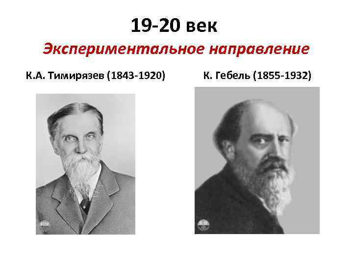19 -20 век Экспериментальное направление К. А. Тимирязев (1843 -1920) К. Гебель (1855 -1932)