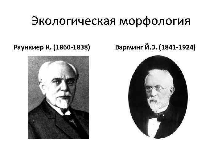 Экологическая морфология Раункиер К. (1860 -1838) Варминг Й. Э. (1841 -1924) 