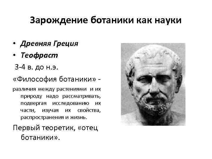 Зарождение ботаники как науки • Древняя Греция • Теофраст 3 -4 в. до н.
