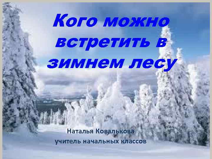 Кого можно встретить в зимнем лесу Наталья Ковалькова учитель начальных классов 
