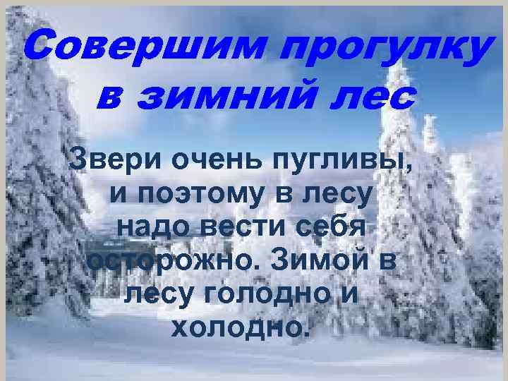 Совершим прогулку в зимний лес Звери очень пугливы, и поэтому в лесу надо вести
