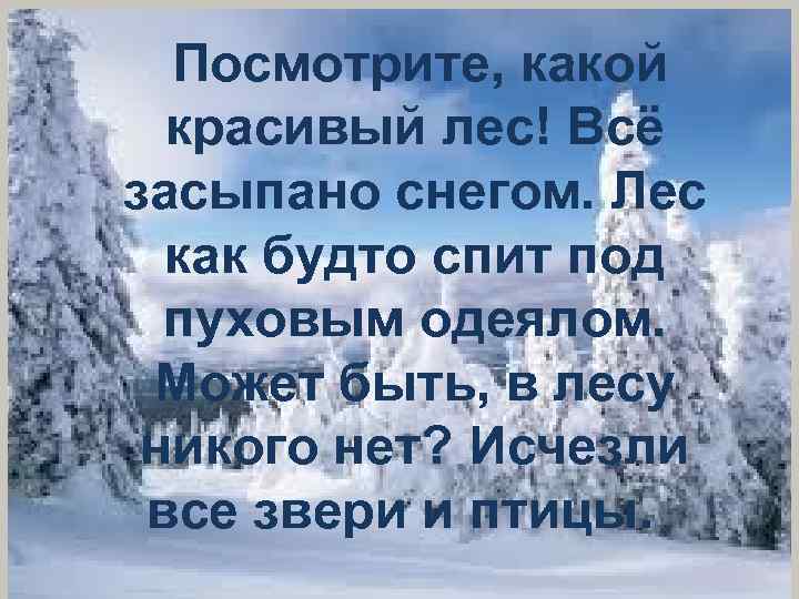 Посмотрите, какой красивый лес! Всё засыпано снегом. Лес как будто спит под пуховым одеялом.