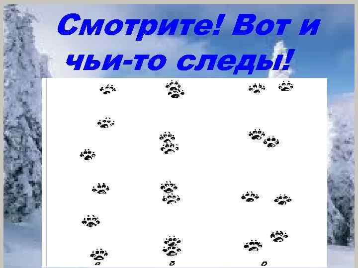 Чьи след года. Чьи следы?. Чьи следы на снегу картинки. Игра чьи следы. Игра где чей след.