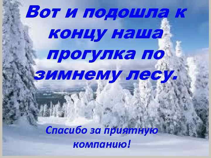 Вот и подошла к концу наша прогулка по зимнему лесу. Спасибо за приятную компанию!